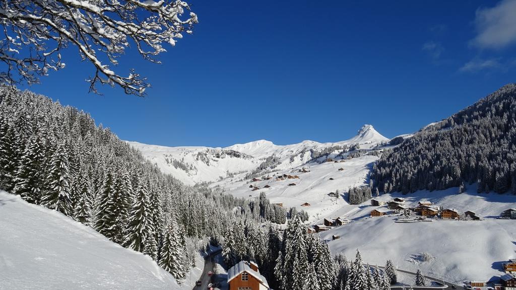 Pension Edelweiss Дамульс Экстерьер фото